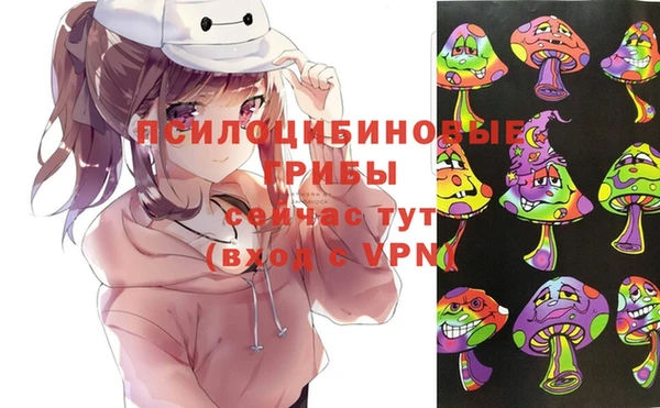 крисы Вяземский