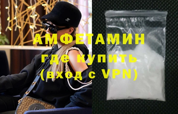 сатива Новодвинск