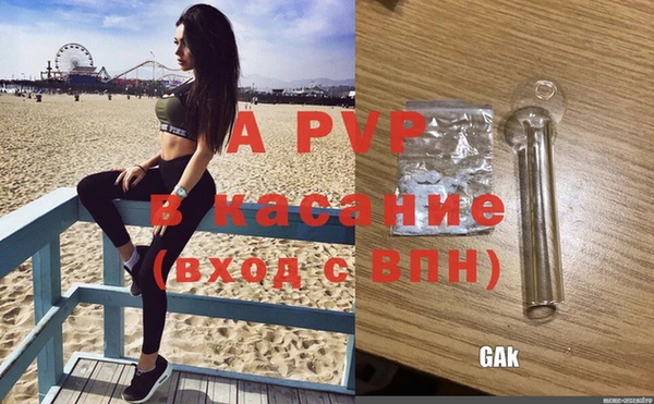 круглые Вязьма
