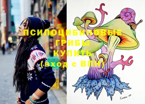 крисы Вяземский