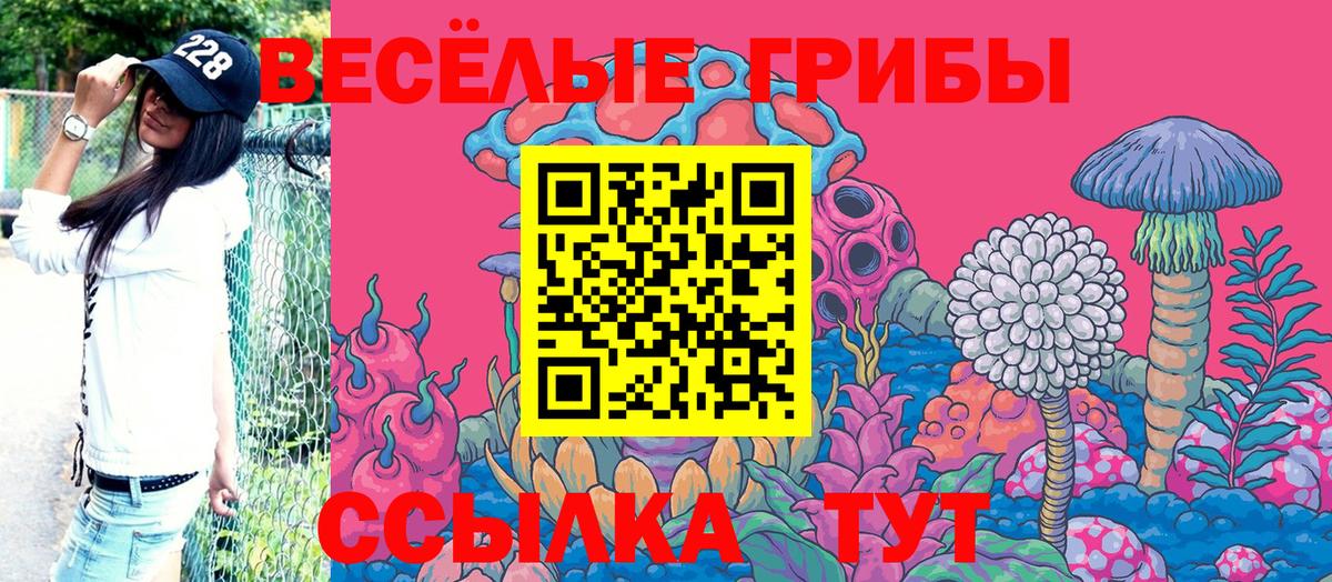 Галлюциногенные грибы Psilocybe  Вход с VPN  Галлюциногенные грибы Psilocybe  Можайск 
